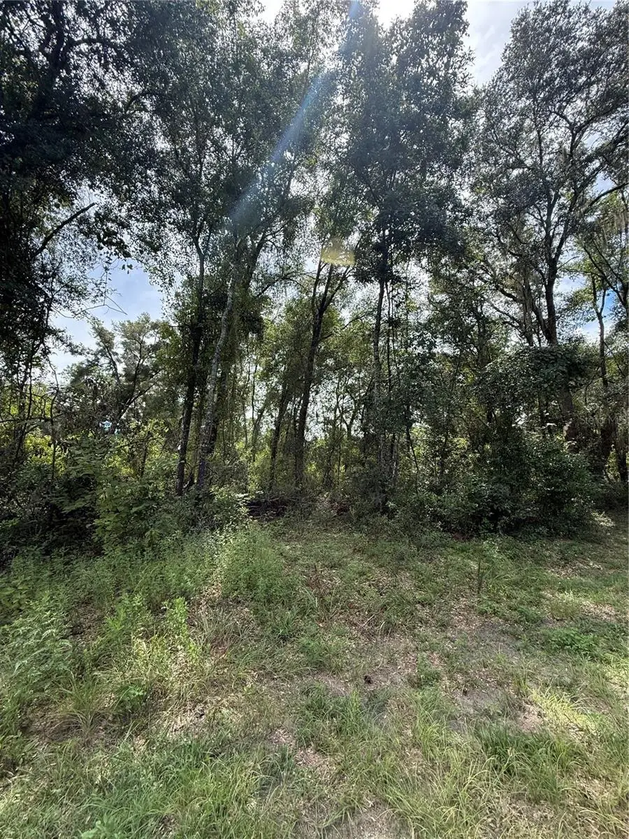 Lake Avenue, Fanning Springs, FL 32693 - #3