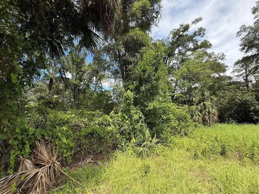 9850 Kentucky Avenue, Fanning Springs, FL 32693 - #3