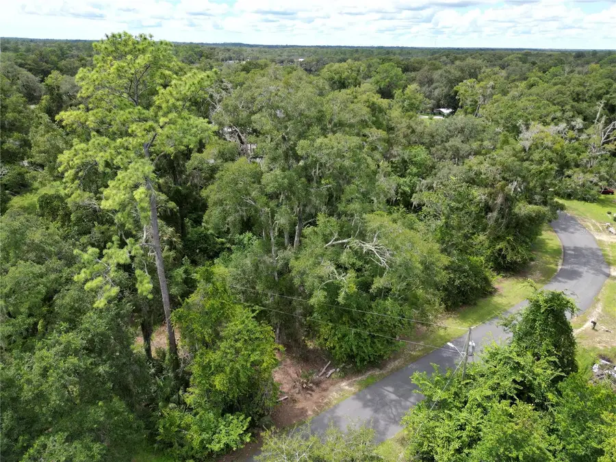 7739 Lake Avenue, Fanning Springs, FL 32693 - #3