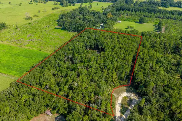 6351 NW 15th Street, BELL, FL 32619
