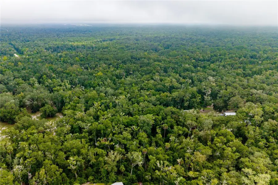 TBD NE 639th , Lot 6a Street, Old Town, FL 32680 - #2