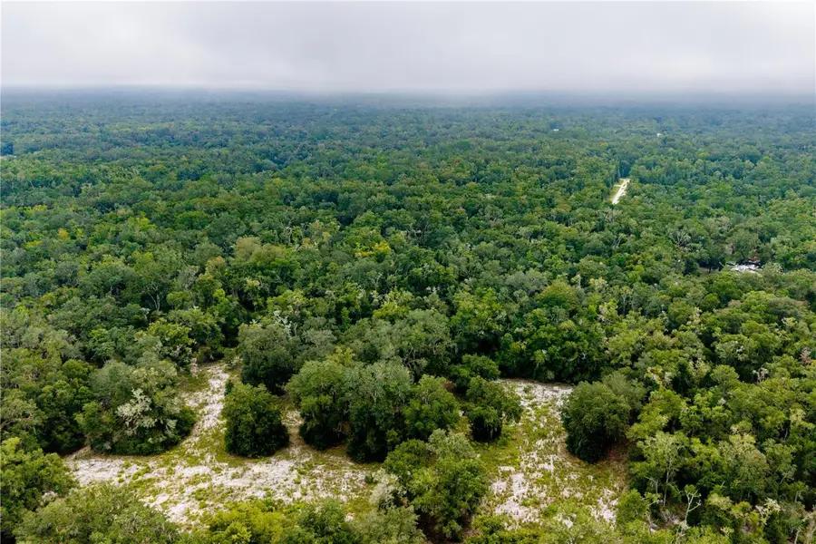 TBD NE 639th , Lot 6a Street, Old Town, FL 32680 - #3