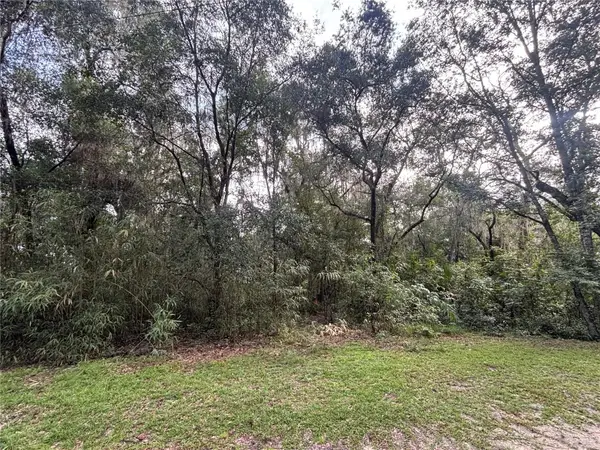 190 She She Road, HAWTHORNE, FL 32640