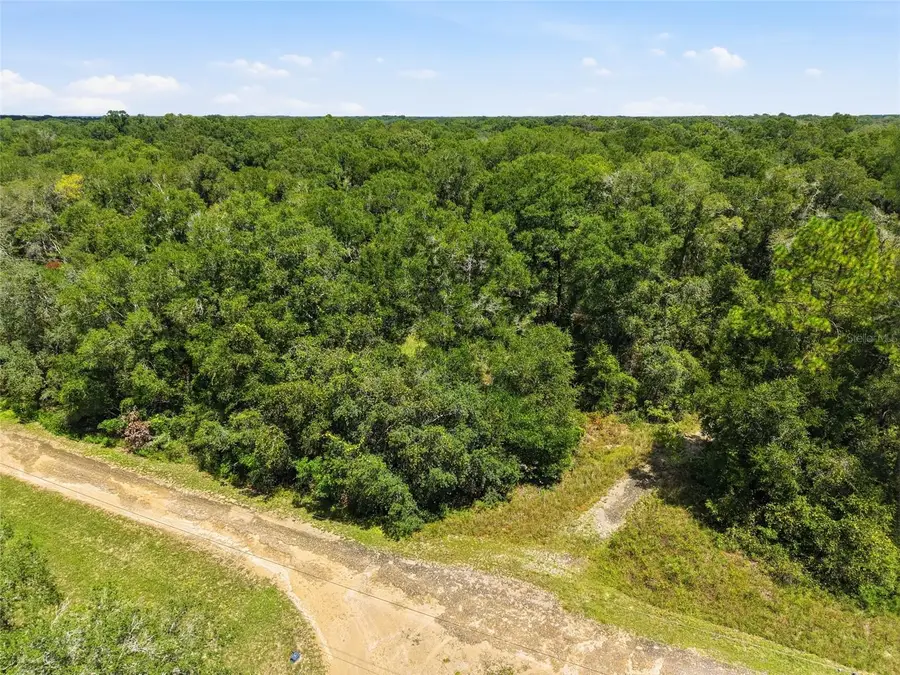 Lot 11 NW 164th Street, Fanning Springs, FL 32693 - #2