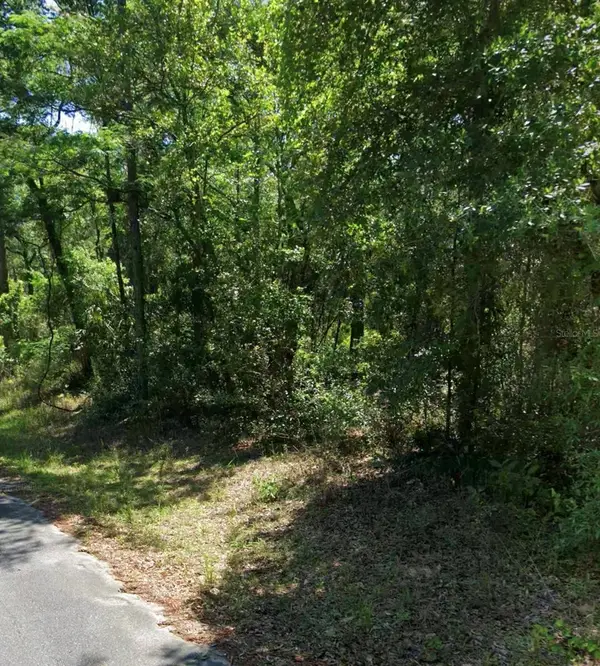3676 E Walker Street, INVERNESS, FL 34453