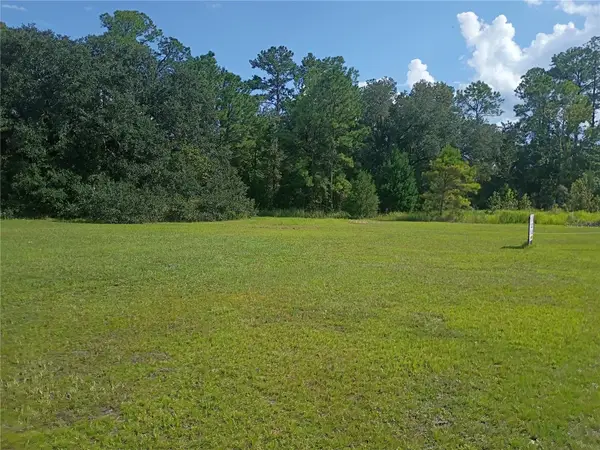 TBD NE Us Highway 301, WALDO, FL 32694
