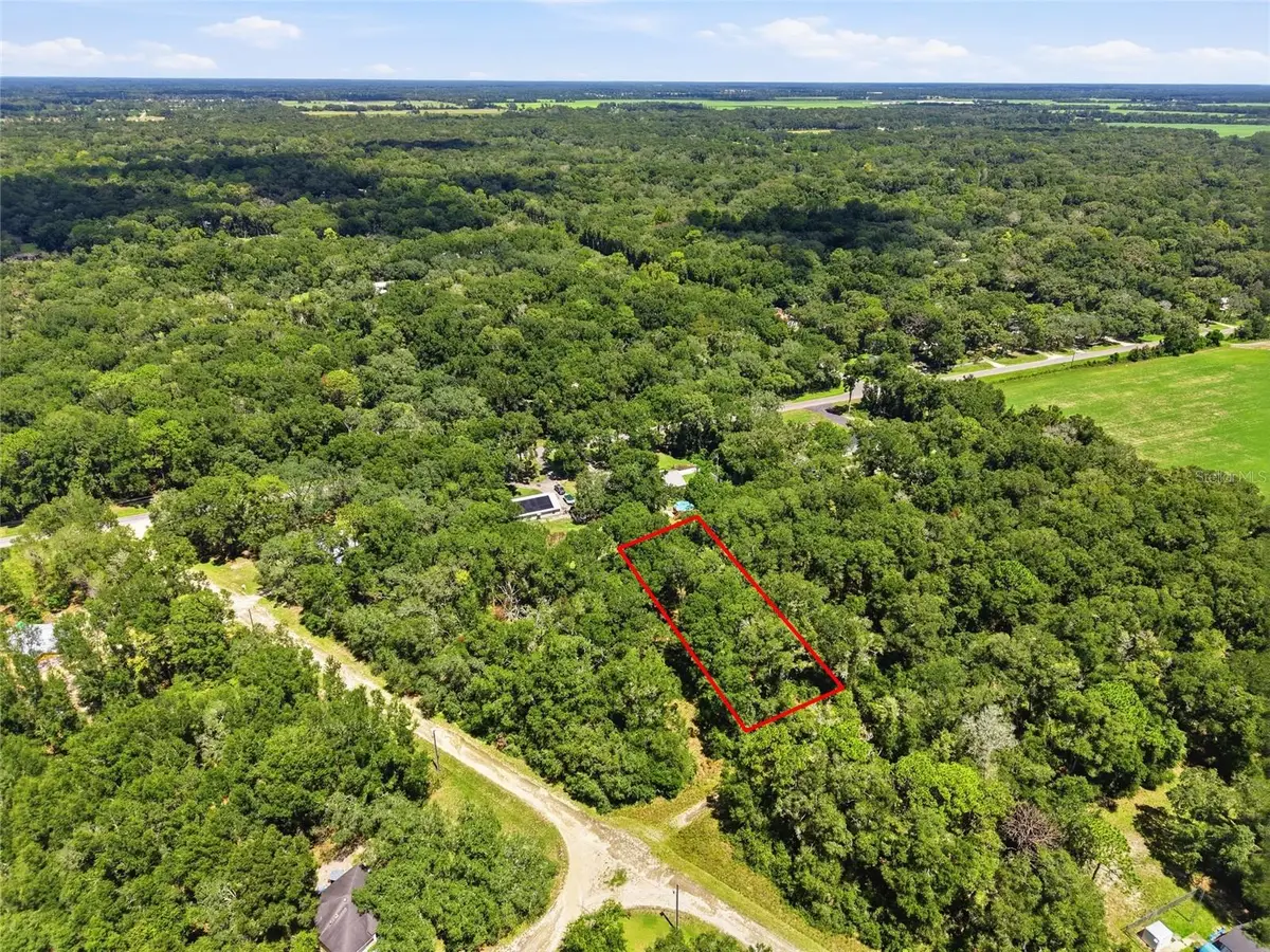 Lot 12 NW 164th Street, Fanning Springs, FL 32693 - #1