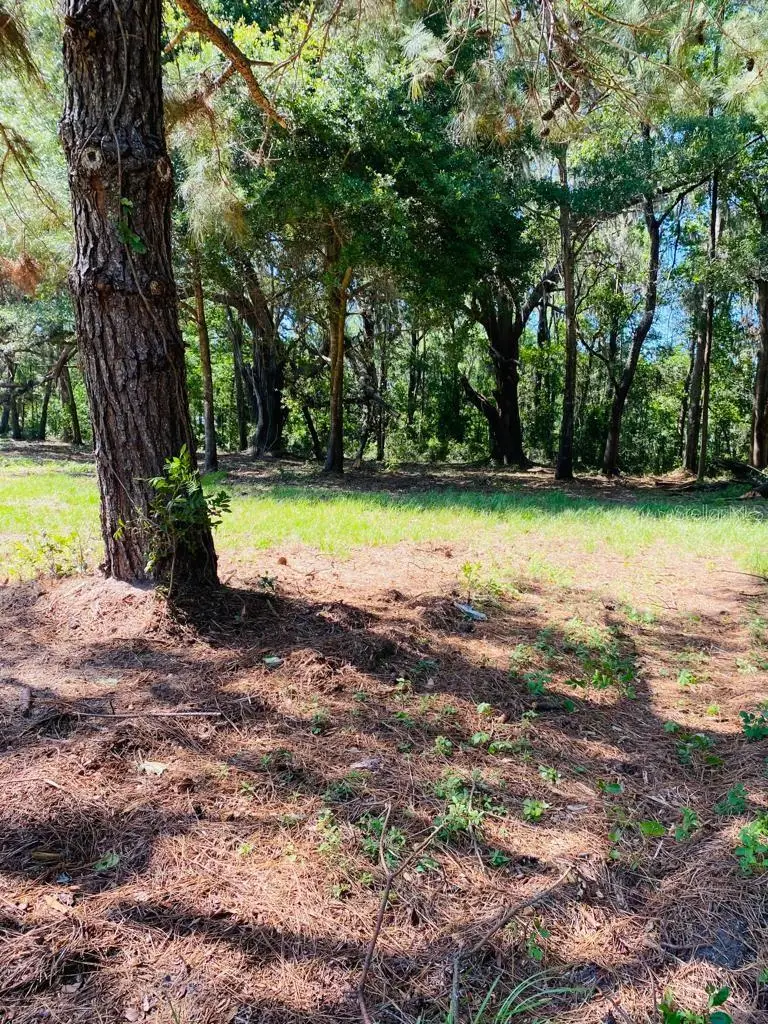 17401 NW County Road 241, Alachua, FL 32615 - #2