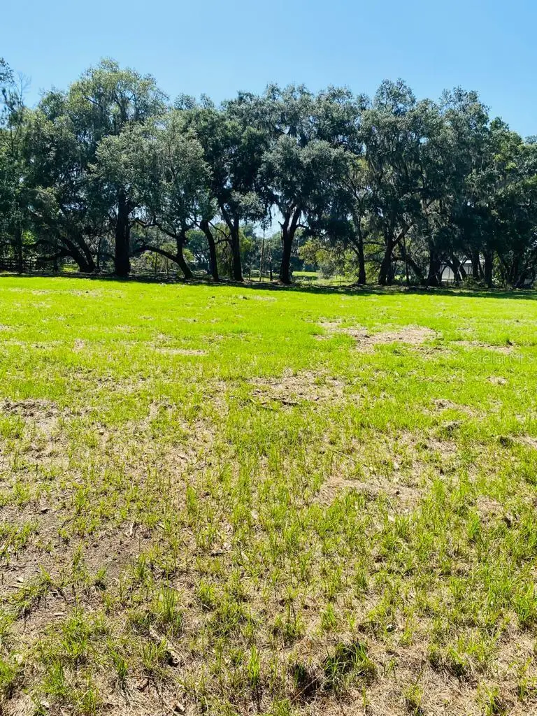 17401 NW County Road 241, Alachua, FL 32615 - #3