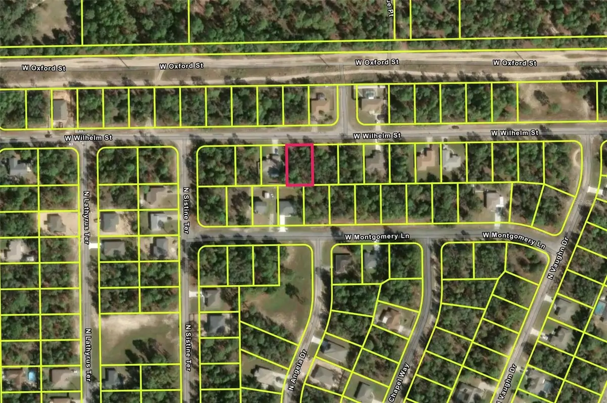 3310 W Wilhelm Street, Citrus Springs, FL 34433 - #1