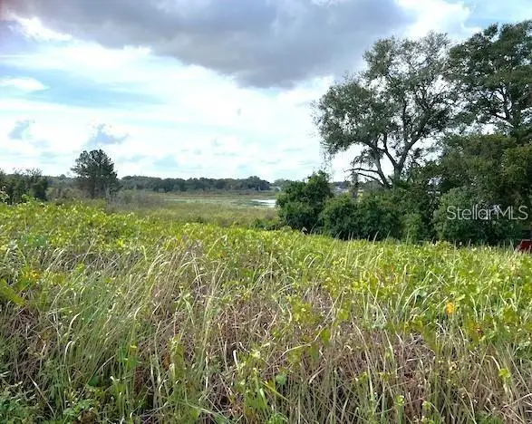 TBD Oak Lane Drive, Ocala, FL 34472 - #2