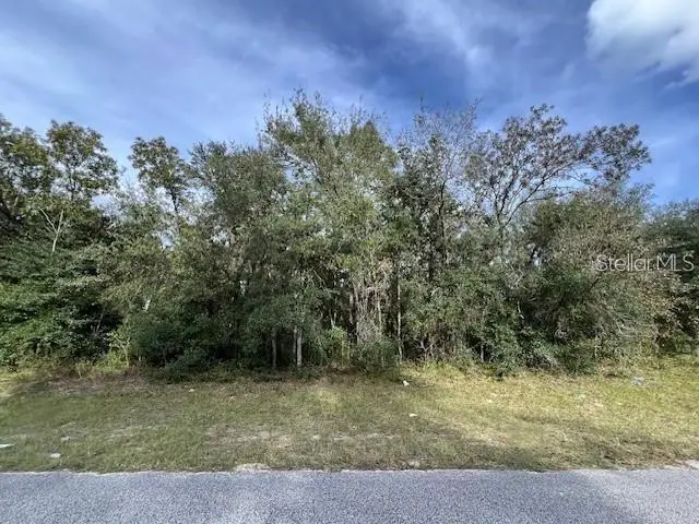 TBD SW 146th Lane Road, Ocala, FL 34473 - #2