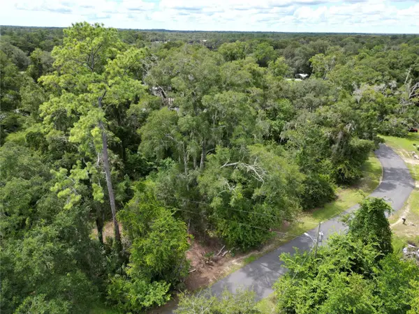 Lake Avenue, FANNING SPRINGS, FL 32693