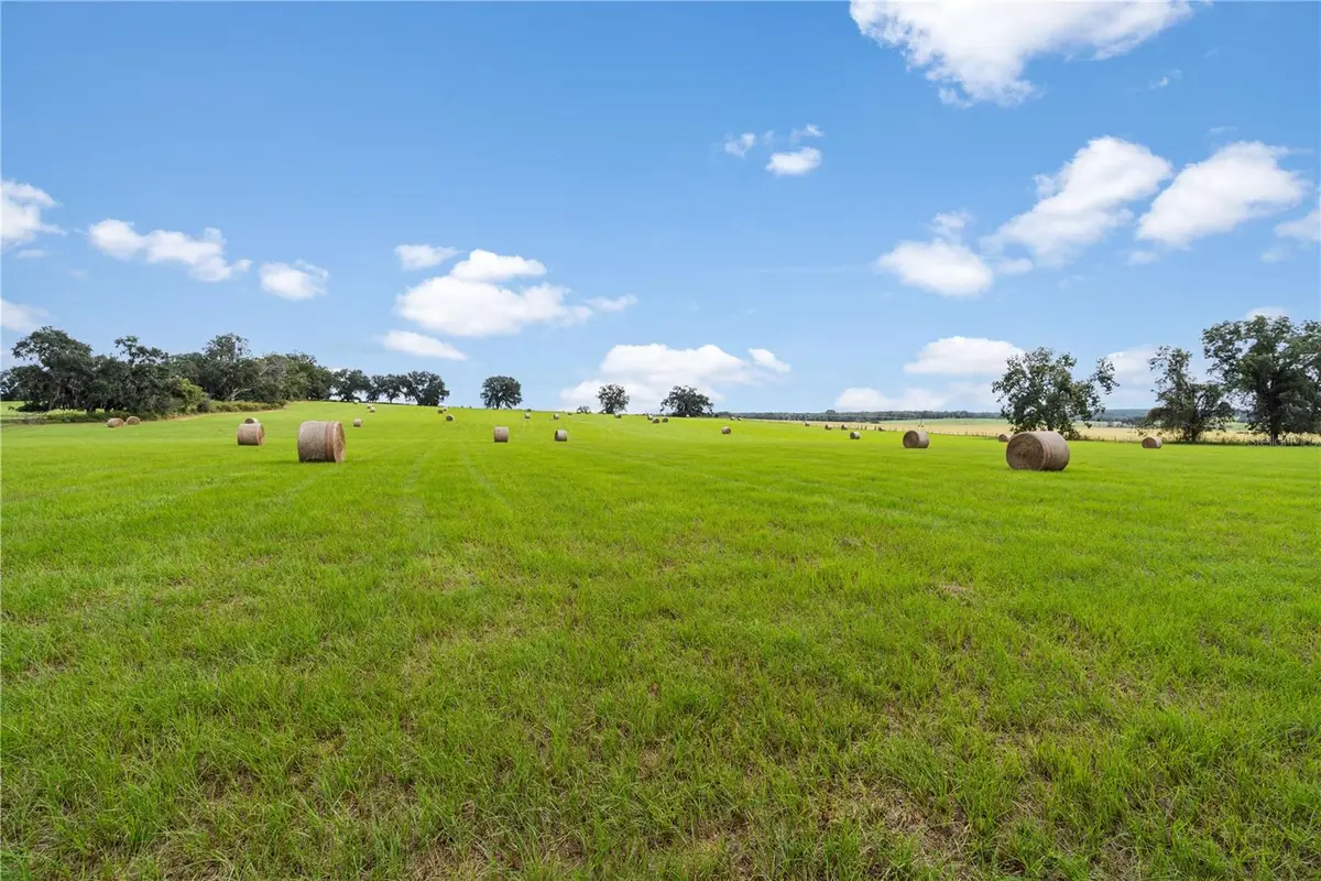 0000 SW Tustenuggee Avenue, Lake City, FL 32024 - #1