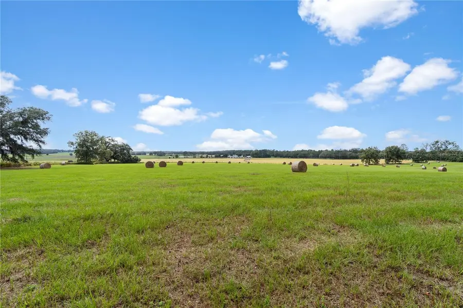 0000 SW Tustenuggee Avenue, Lake City, FL 32024 - #3
