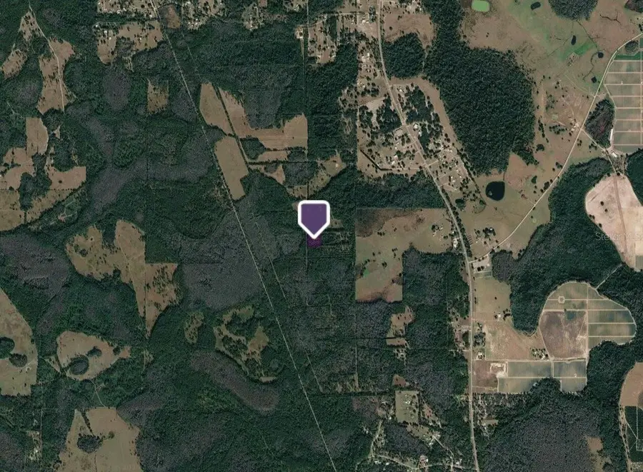 Pas Lane, Polk City, FL 33868 - #3
