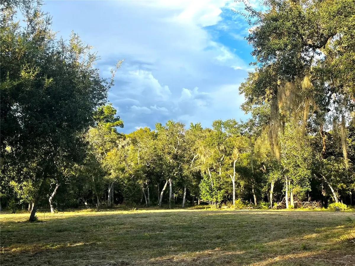 Canal Street, Fanning Springs, FL 32693 - #1