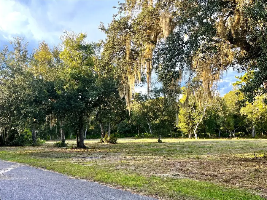 Canal Street, Fanning Springs, FL 32693 - #2