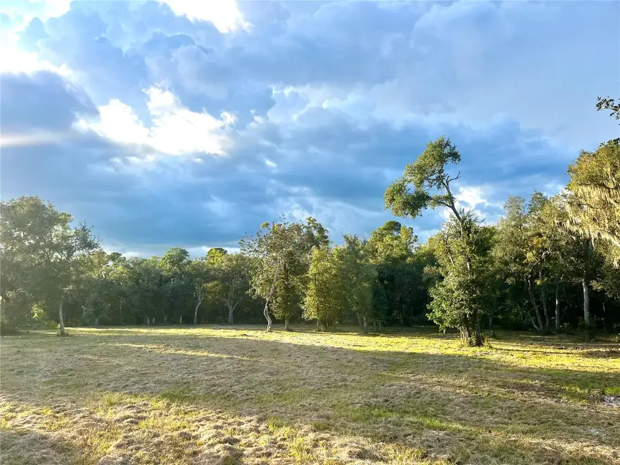 Canal Street, Fanning Springs, FL 32693 - #3