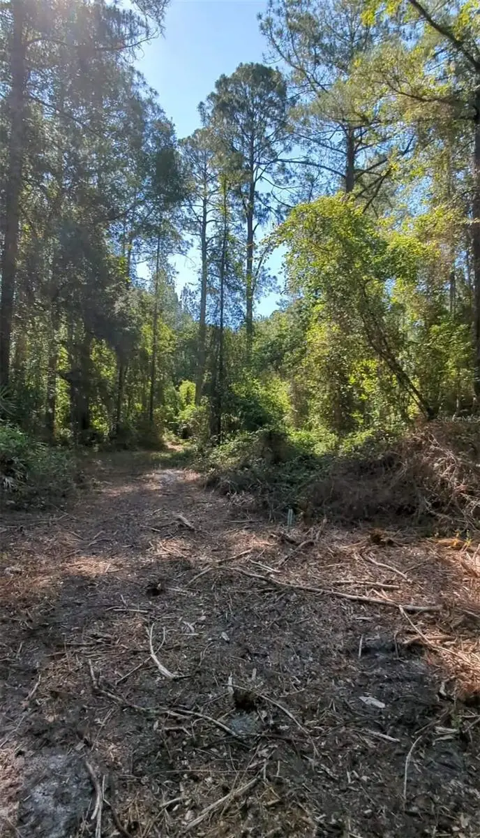 Sw 126th Avenue, Lake Butler, FL 32054 - #2