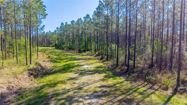 Nw 57th Lane, STARKE, FL 32091