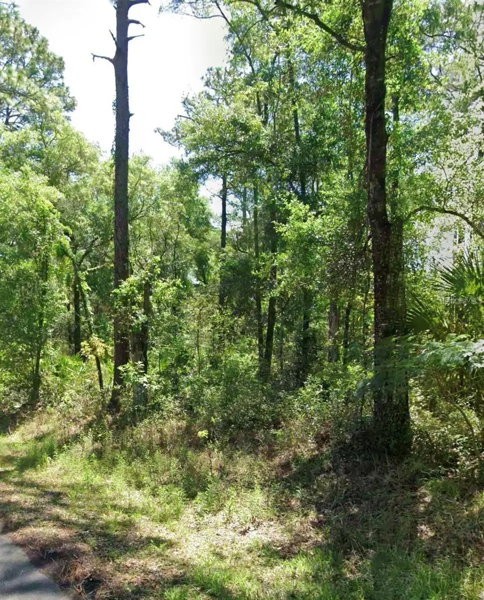 3718 E Walker Street, Inverness, FL 34453 - #1