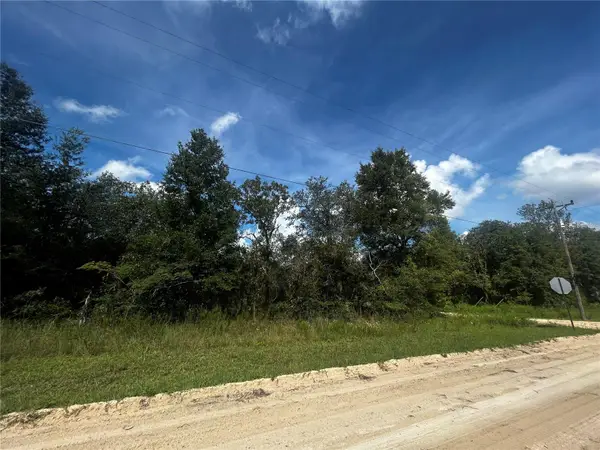 00 Ne 115th Ave, WILLISTON, FL 32696