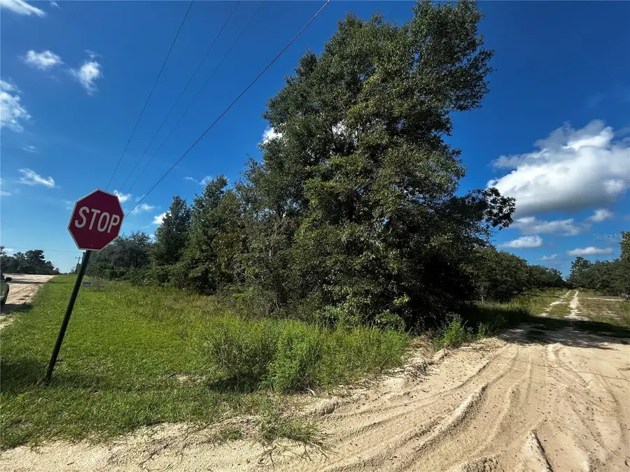 00 Ne 115th Ave, Williston, FL 32696 - #2