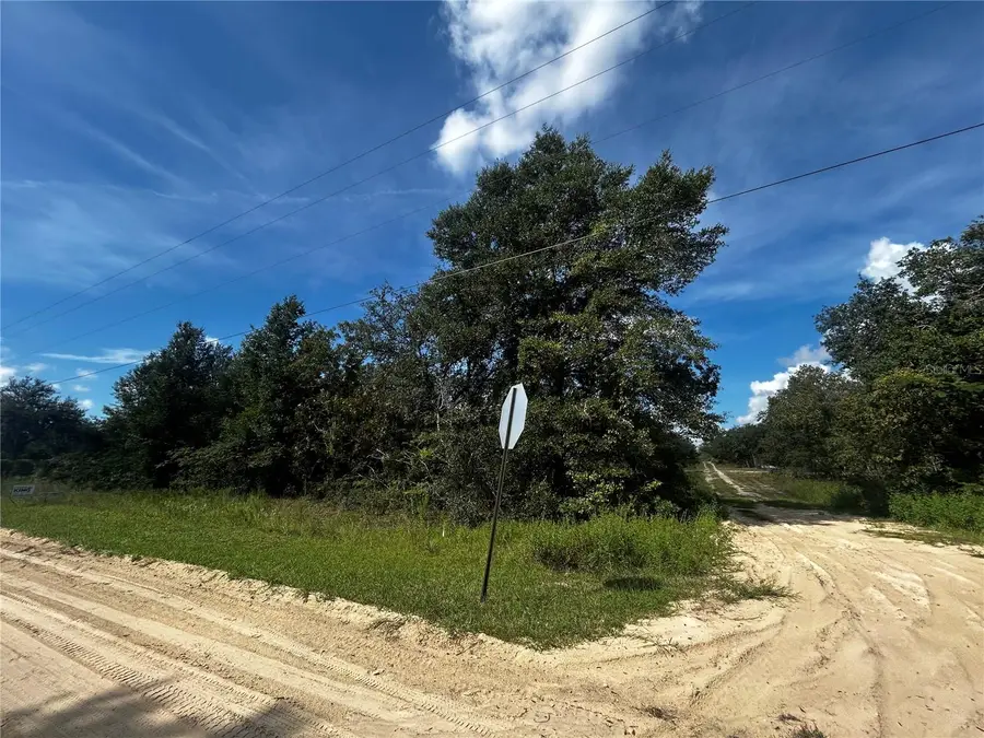 00 Ne 115th Ave, Williston, FL 32696 - #3