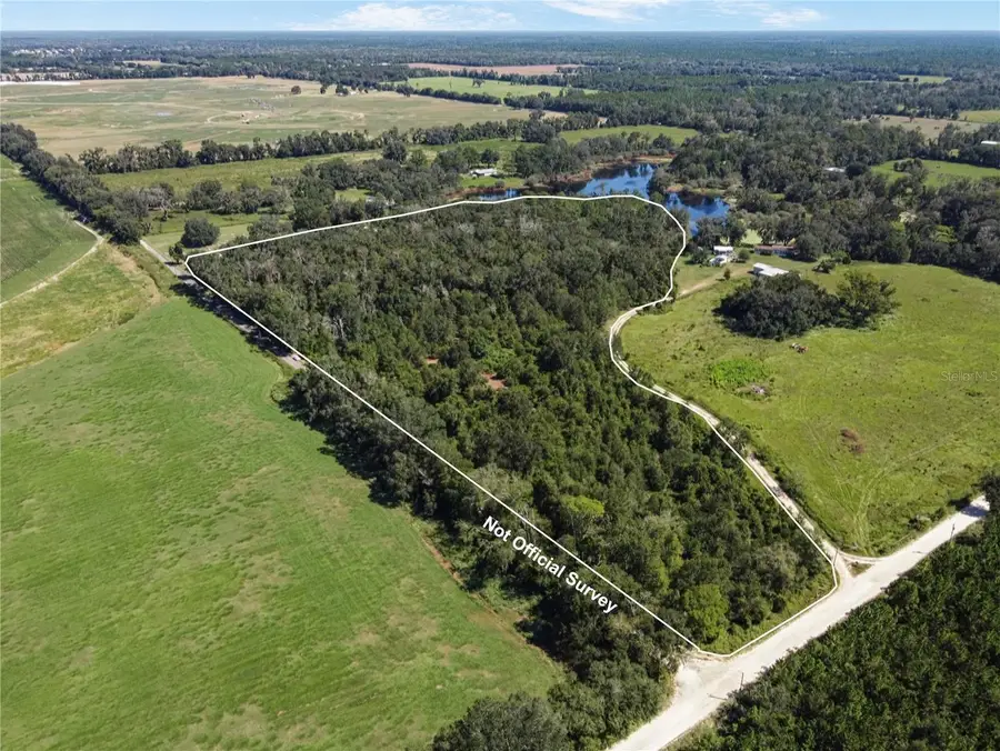 4710 SW 22nd Avenue, Bell, FL 32619 - #2