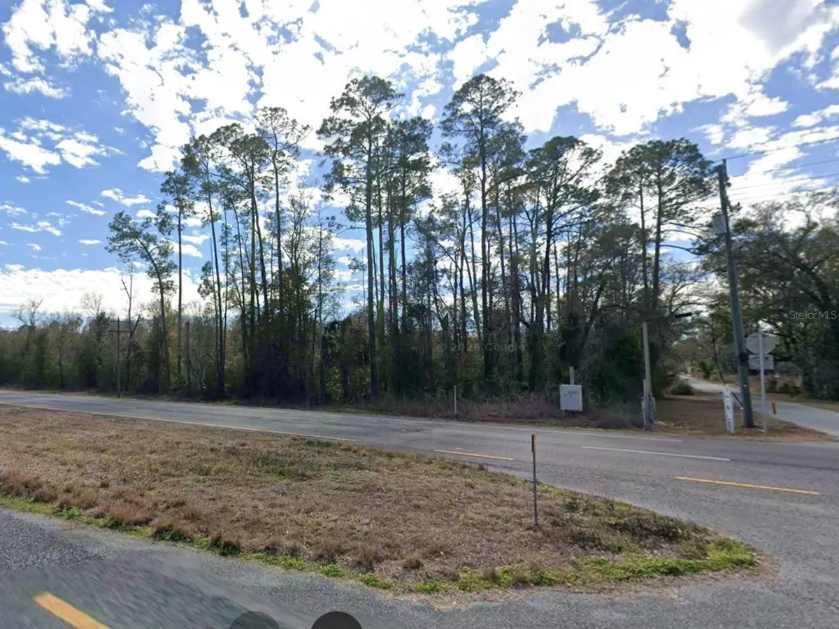Highway 19, Otter Creek, FL 32683 - #1