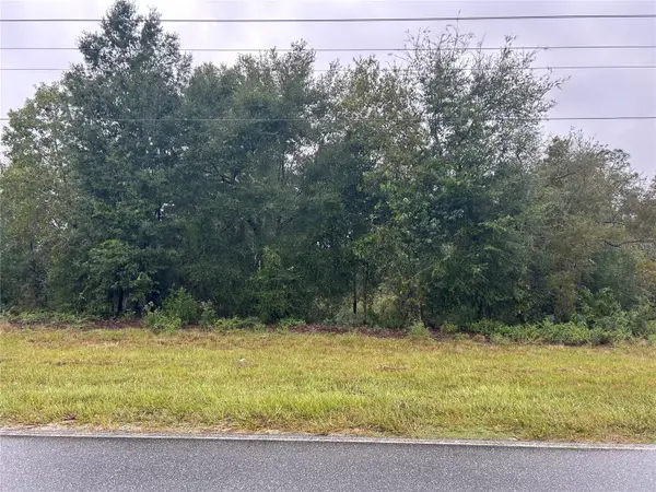 TBD NE 110th Street, BRONSON, FL 32621
