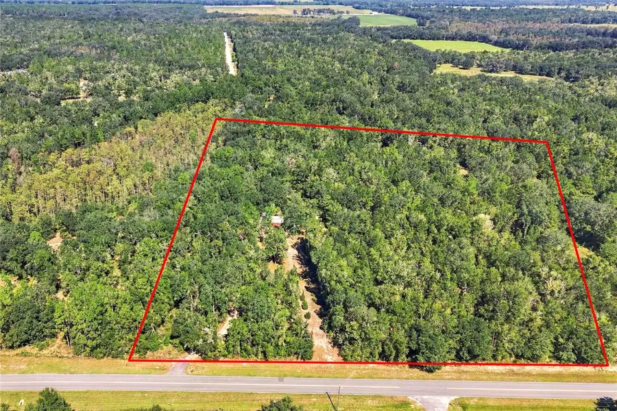 3877 SW Herlong Street, Fort White, FL 32038 - #3