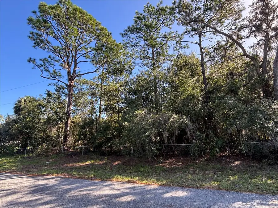 14331 SE 85th Terrace, Inglis, FL 34449 - #3