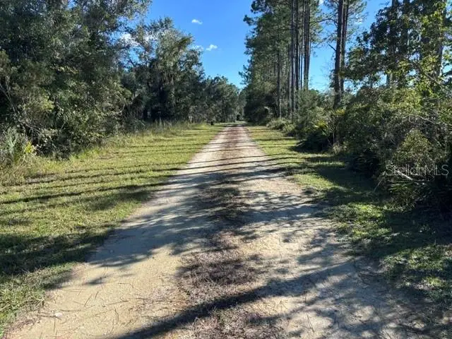 Lot 6 SW 105 Avenue, Cedar Key, FL 32625 - #3