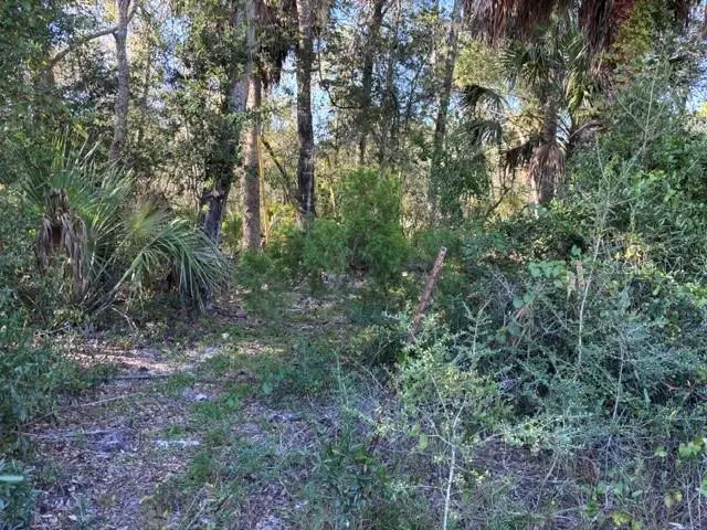 7450 SW State Road 24, Cedar Key, FL 32625 - #1