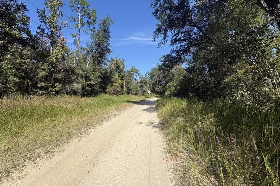 3824 NE Chervil Drive, Lee, FL 32059 - #2