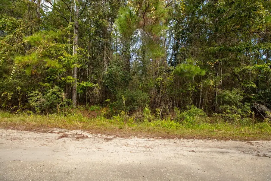 5970 Villanueva Drive, Keystone Heights, FL 32656 - #2