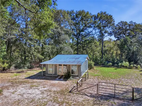 3228 SW Wilson Springs Road, FORT WHITE, FL 32038