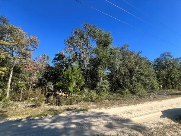 TBD NE 97th Court, BRONSON, FL 32621