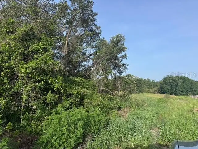 7710 N Lake Buffum Road, Fort Meade, FL 33841 - Image #2