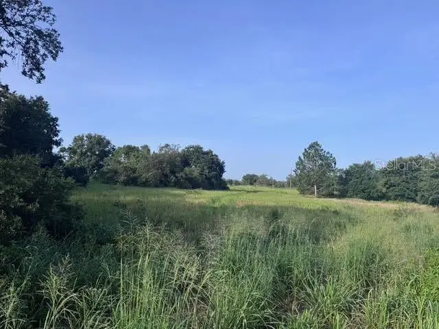 7710 N Lake Buffum Road, Fort Meade, FL 33841 - Image #3