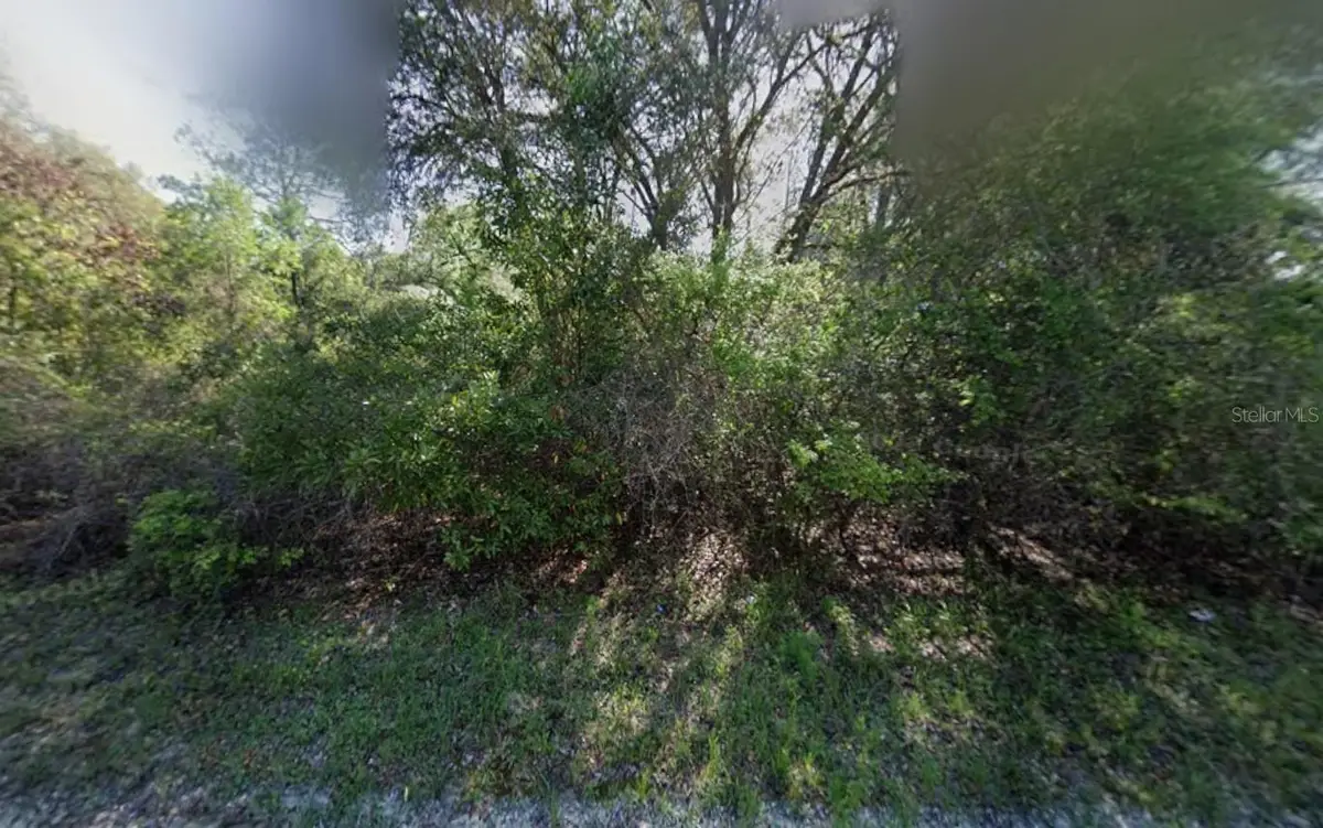 NE 799th Street, Old Town, FL 32680 - #1