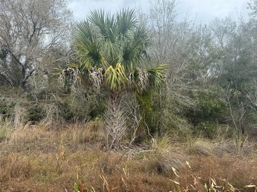 17667 NW 254th Street, Okeechobee, FL 34972 - Image #2