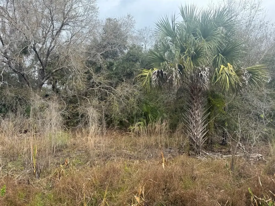 17667 NW 254th Street, Okeechobee, FL 34972 - Image #3