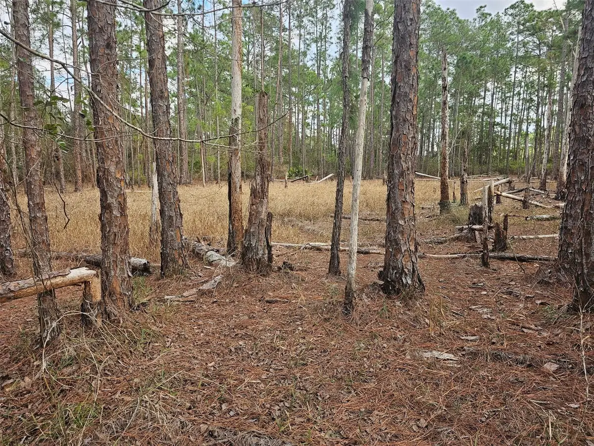 Chinaberry Street, Eustis, FL 32736 - Image #1