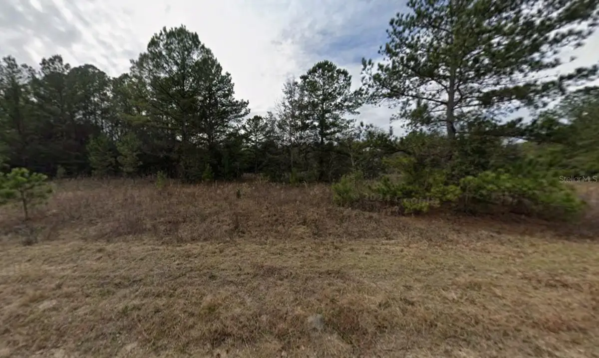 Mullins Avenue, Interlachen, FL 32148 - #1