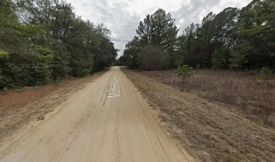Mullins Avenue, Interlachen, FL 32148 - #2