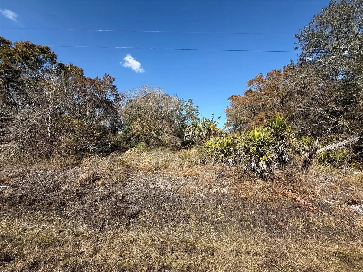 18075 NW 278th Street, Okeechobee, FL 34972 - Image #1