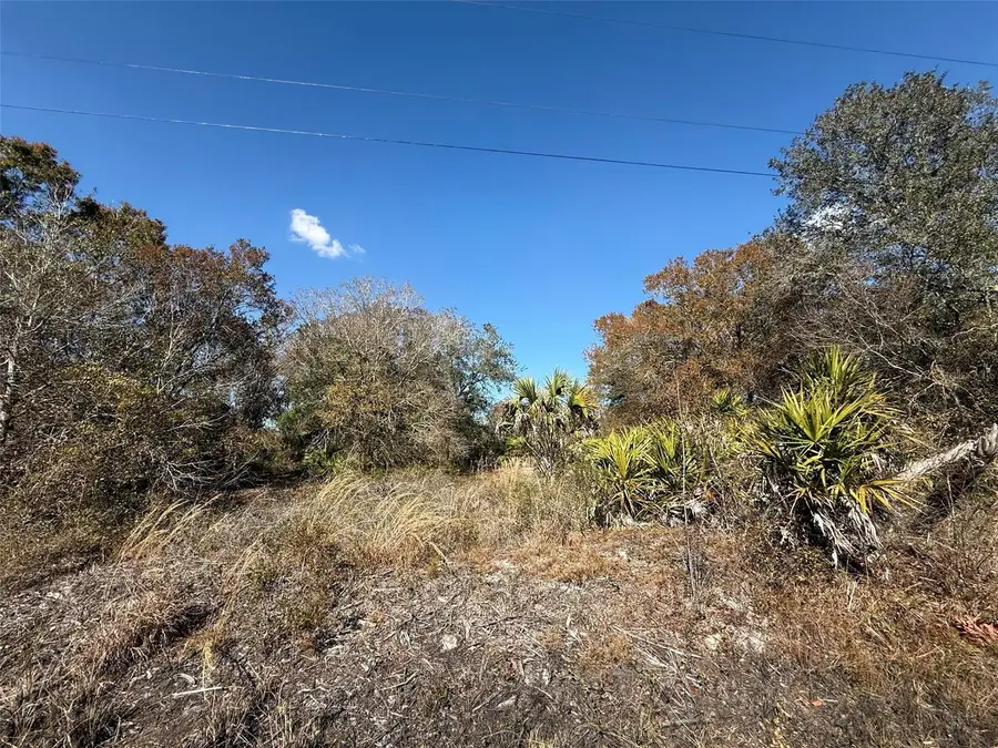 18075 NW 278th Street, Okeechobee, FL 34972 - Image #3